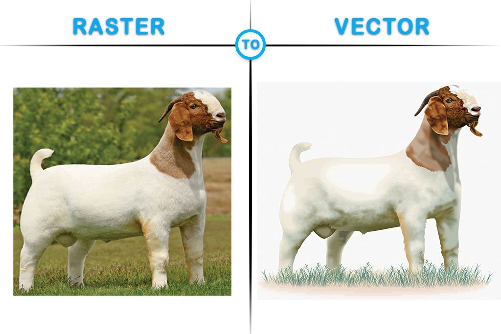 Goat Vector Design