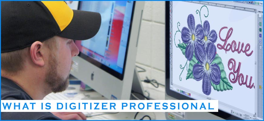 What is Digitizer Professional