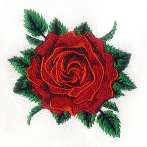 The New Fashion Trend Rose Embroidery