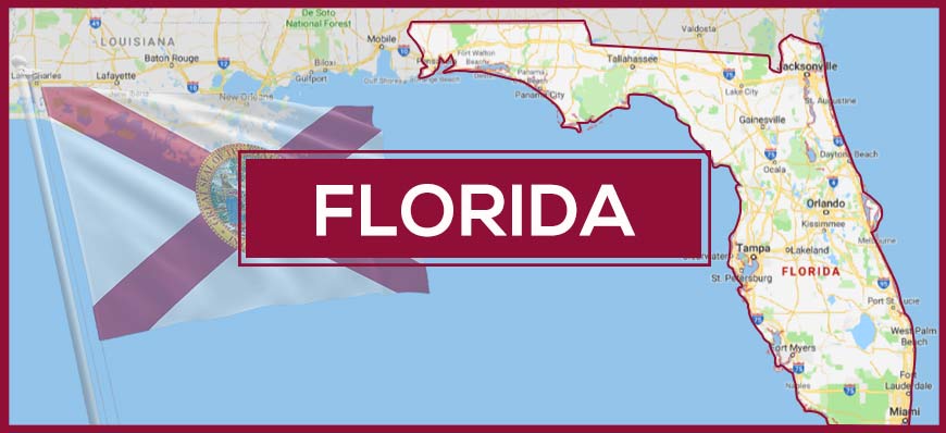 Vector Definition & Logo Digitizing Services in Florida